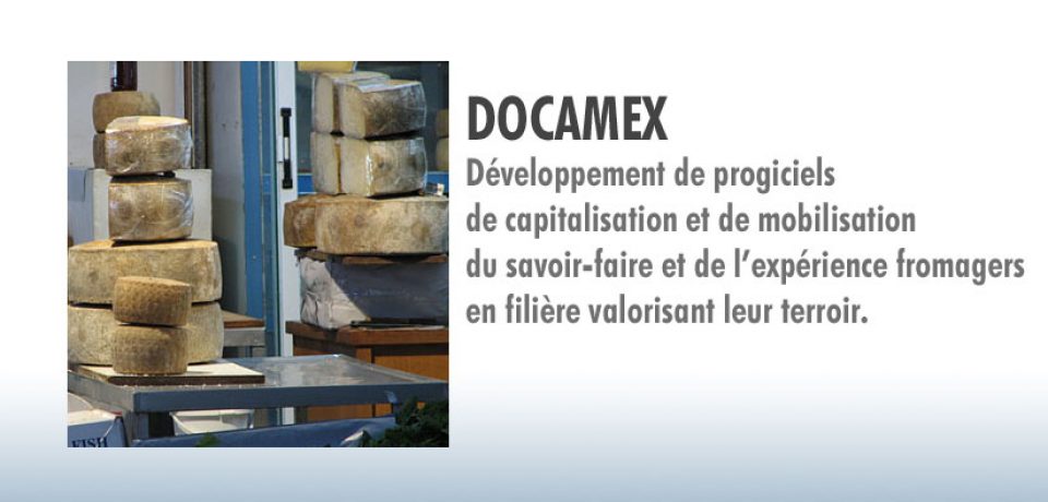 Docamex