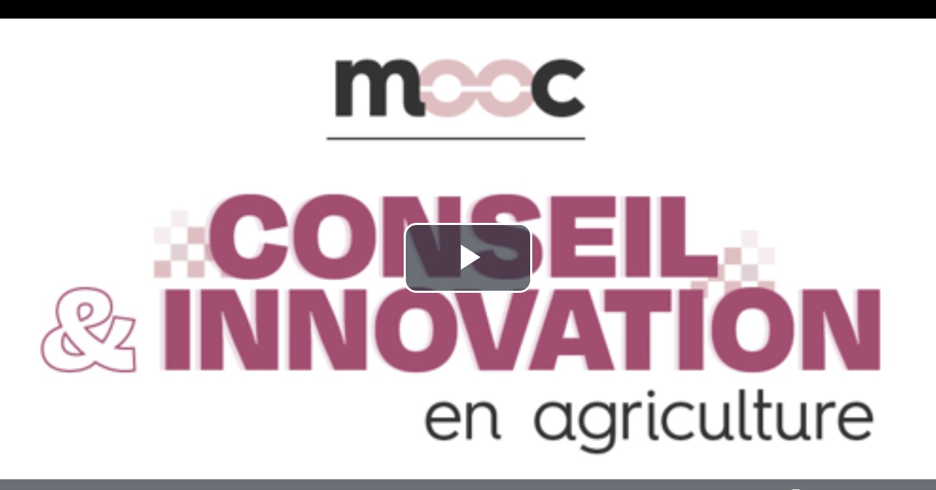 MOOC Conseil 